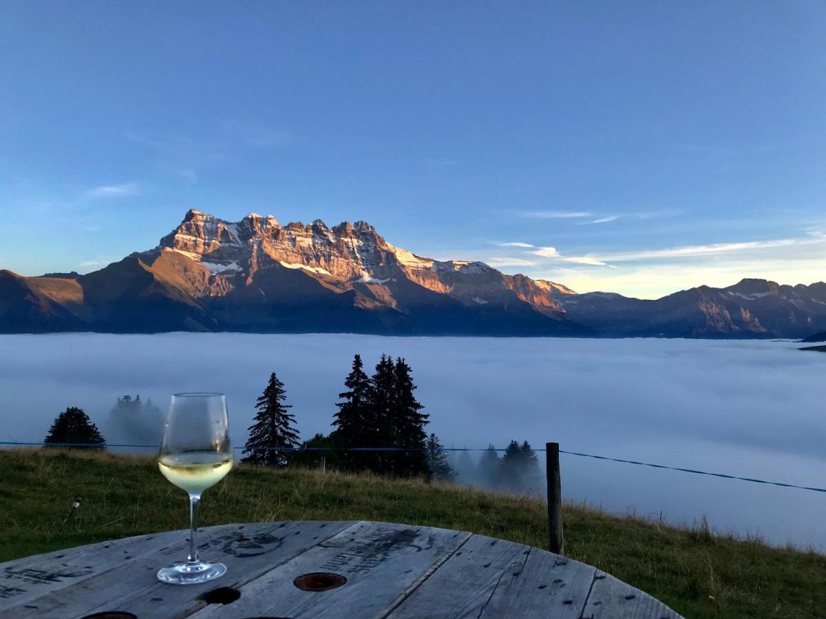 Chalet Chanso Morgins Dış mekan fotoğraf