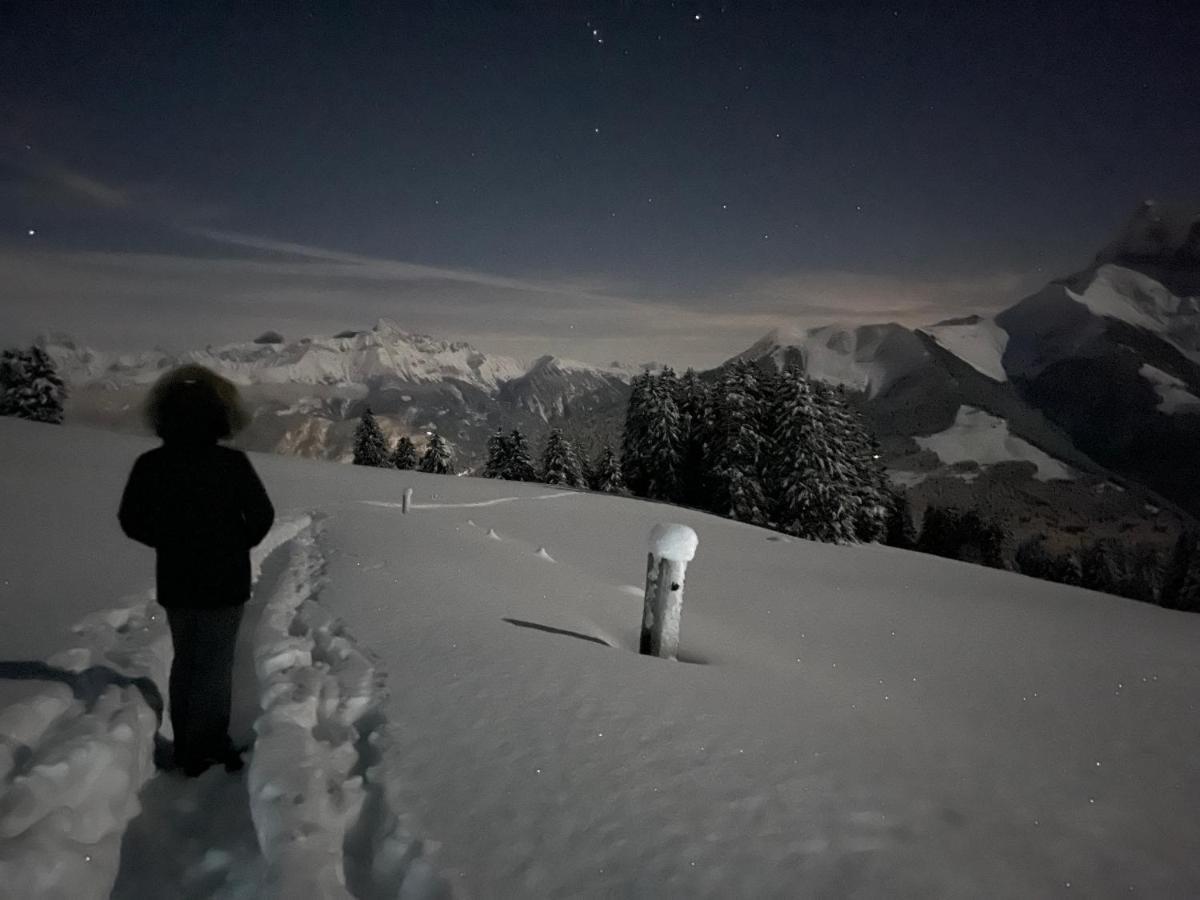Chalet Chanso Morgins Dış mekan fotoğraf