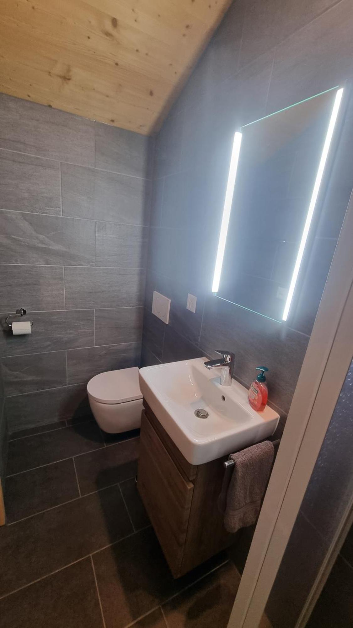 Chalet Chanso Morgins Dış mekan fotoğraf