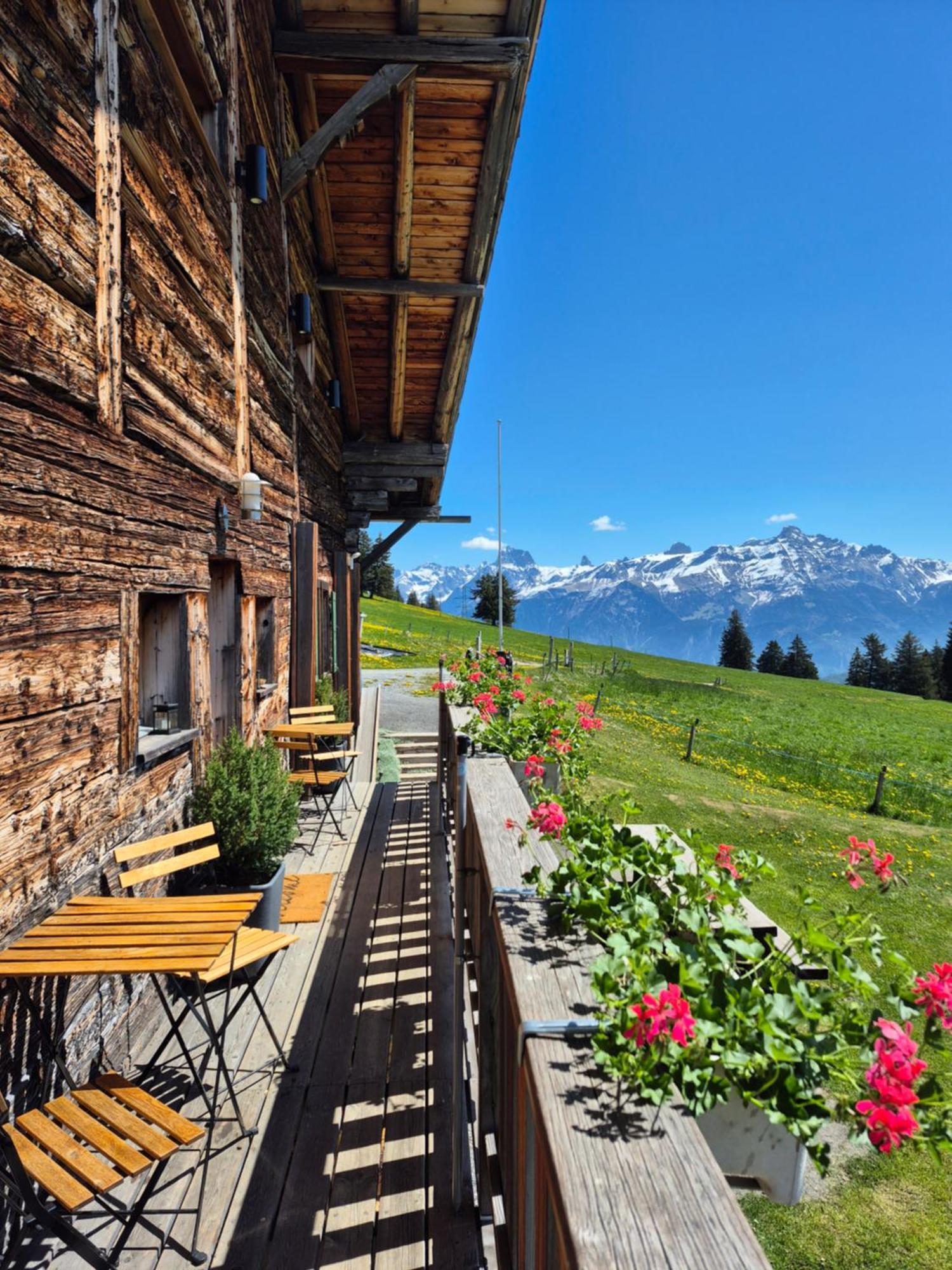 Chalet Chanso Morgins Dış mekan fotoğraf